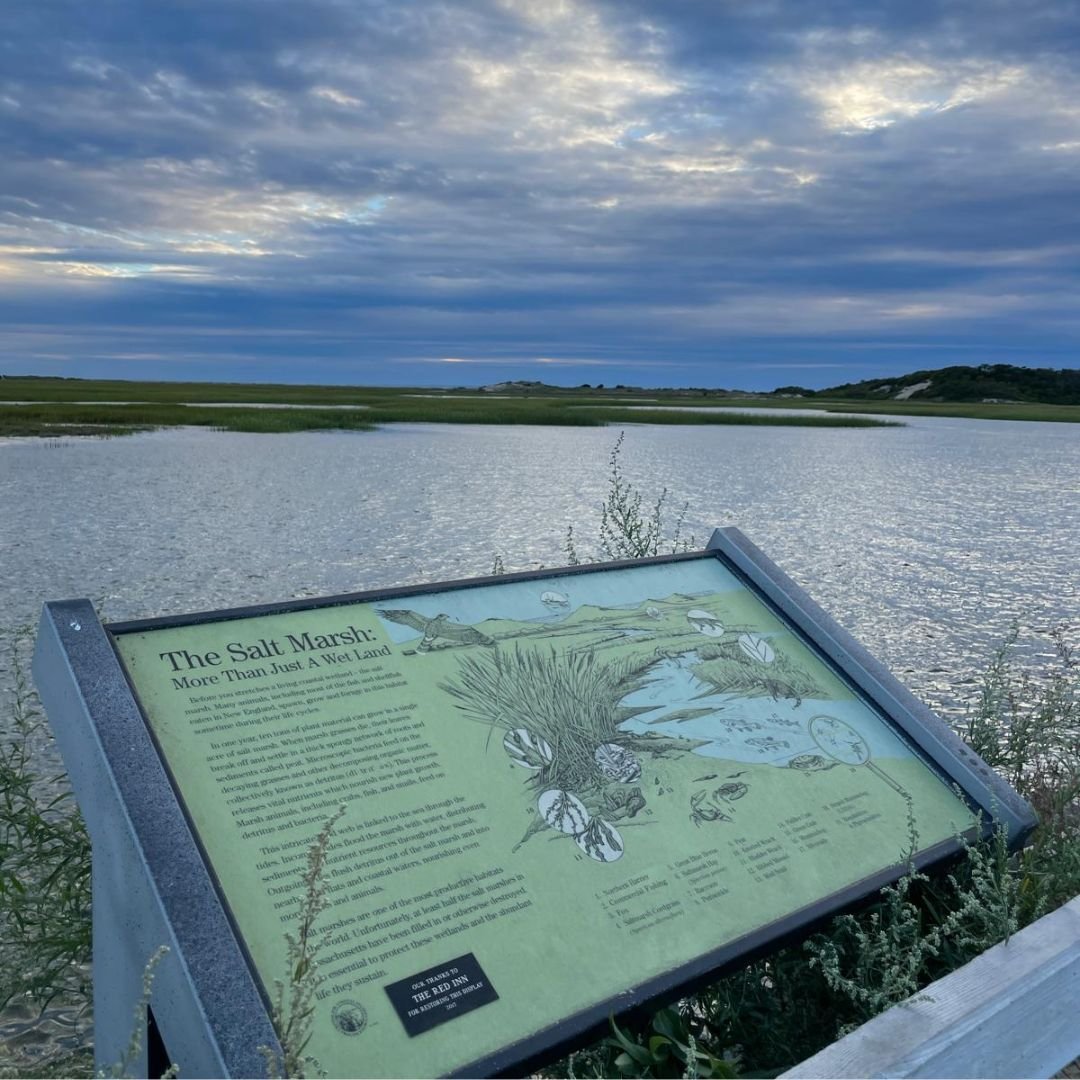 Provincetown LGBTQ 17